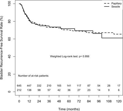 The Prognostic Impact of Tumor Architecture for Upper Urinary Tract Urothelial Carcinoma: A Propensity Score-Weighted Analysis